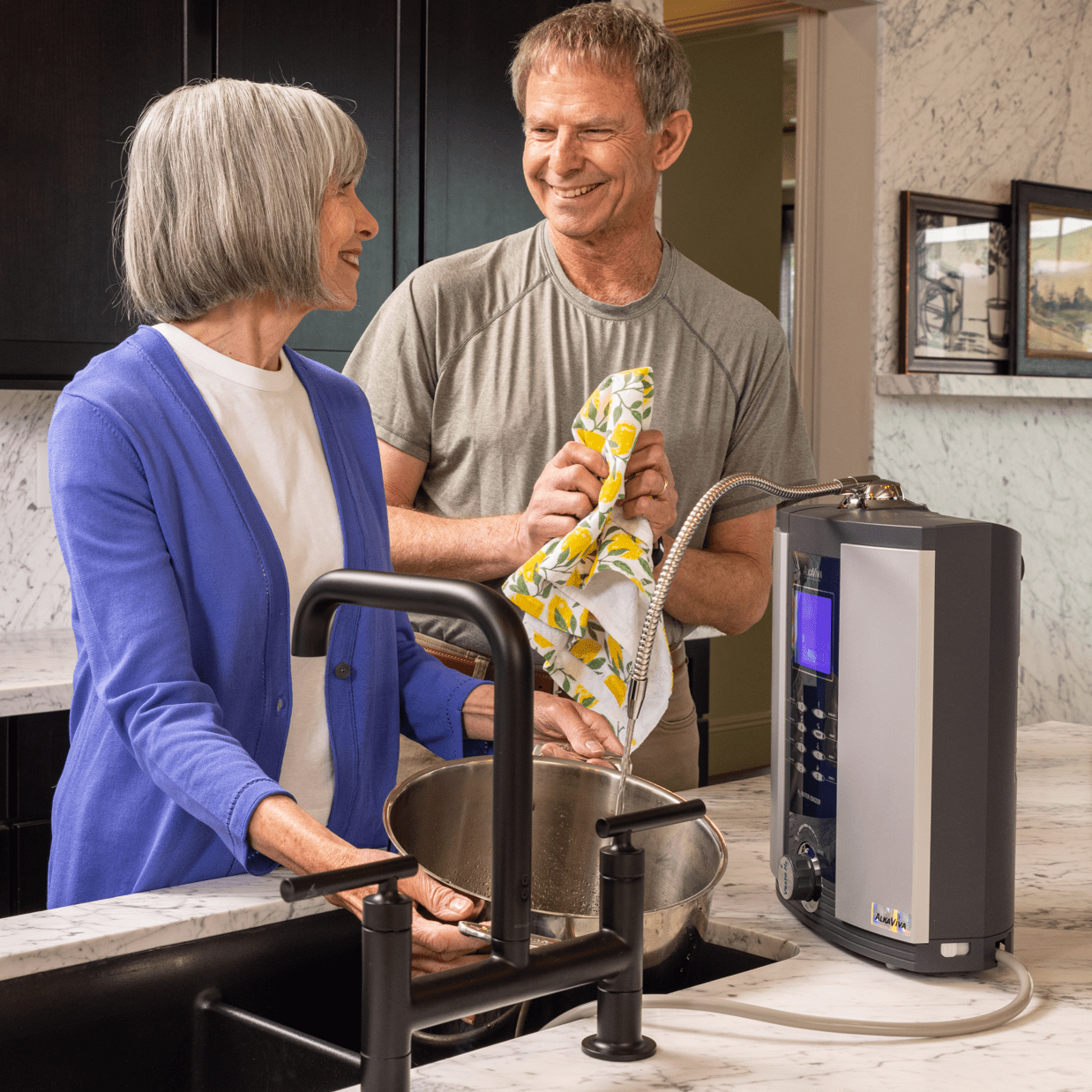 AlkaViva Athena H2 Alkaline Water Ionizer 20004103